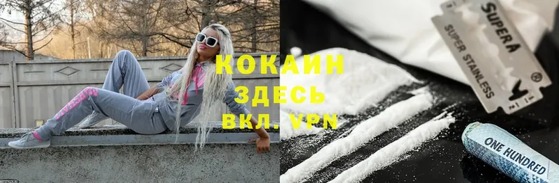 Cocaine FishScale  продажа наркотиков  Весьегонск 